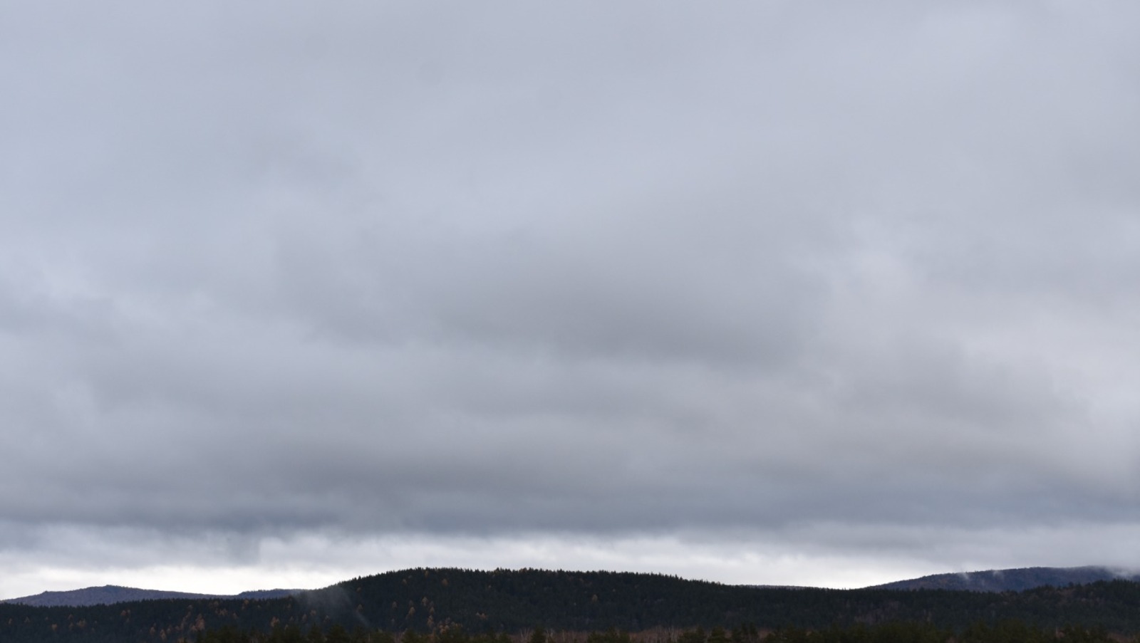 Елены Колоколовой.