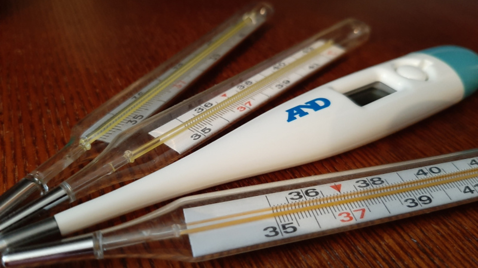 Фото Васили Саитовой.