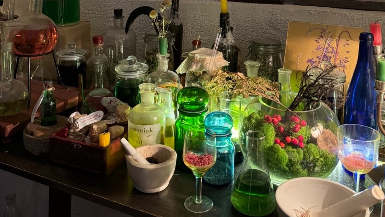 Елены Колоколовой.