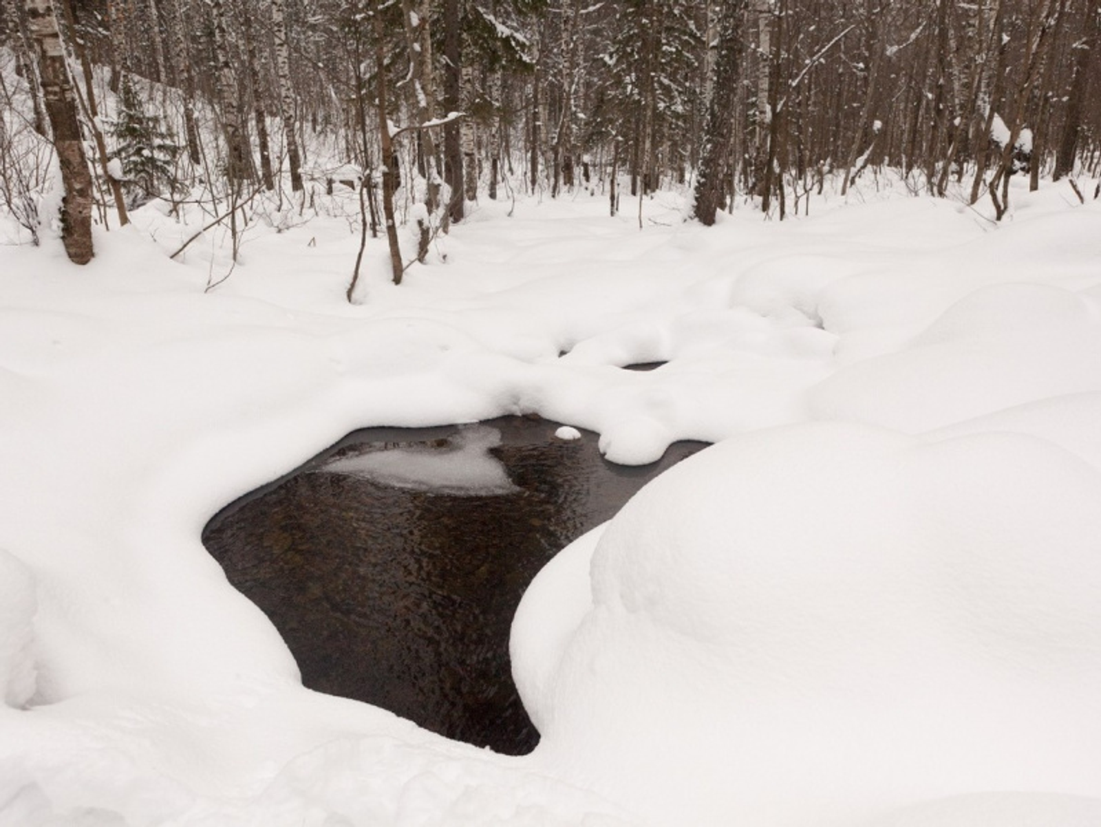Фото Фаиля Абсатарова.
