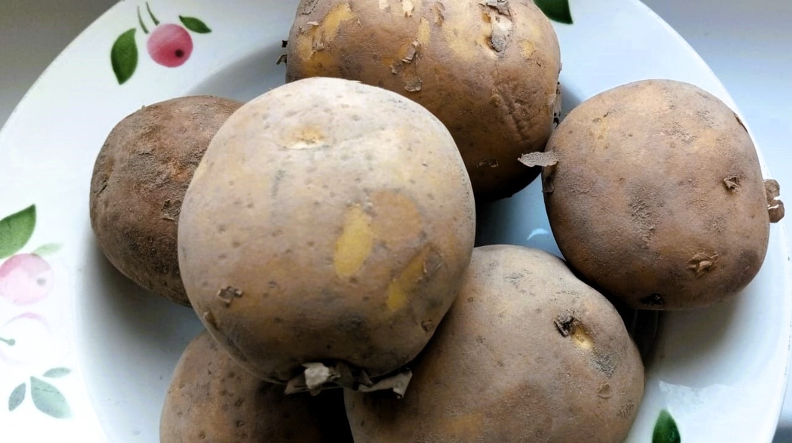 Евгении Сюткиной.