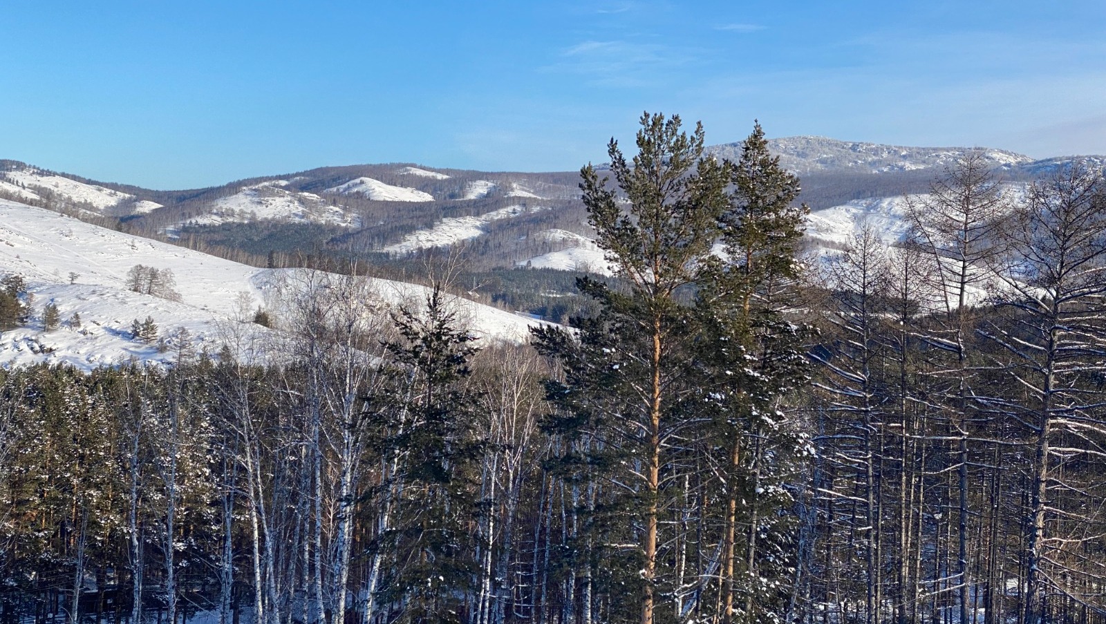Елены Колоколовой.  «Общественная электронная газета».
