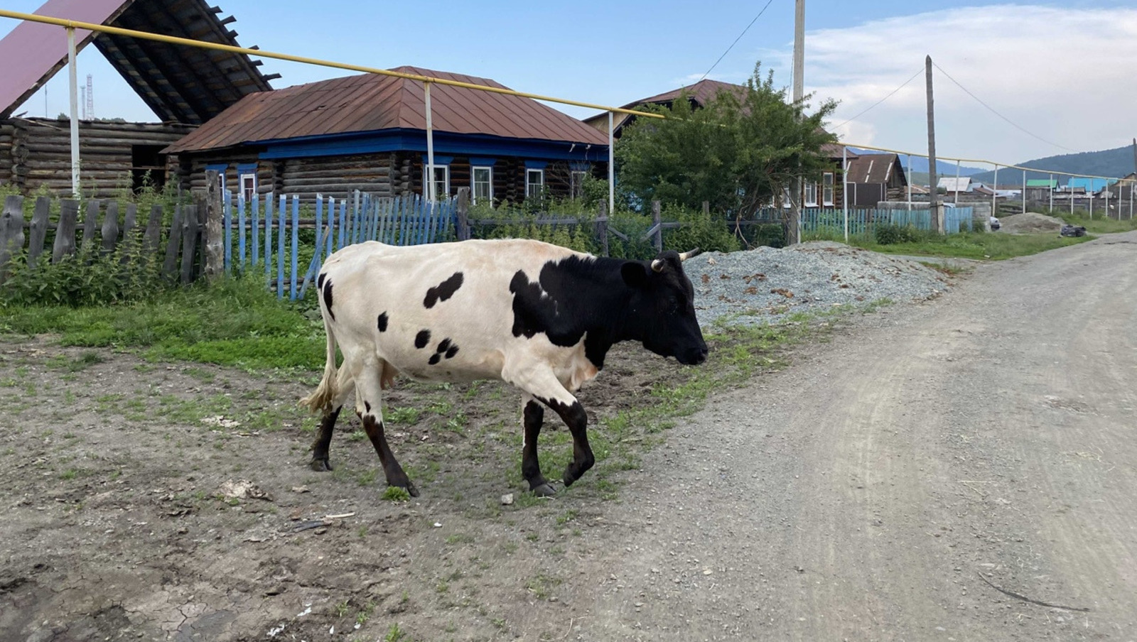Елены Колоколовой.