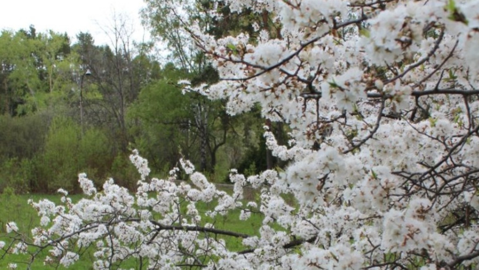 Дарьи Святохиной.