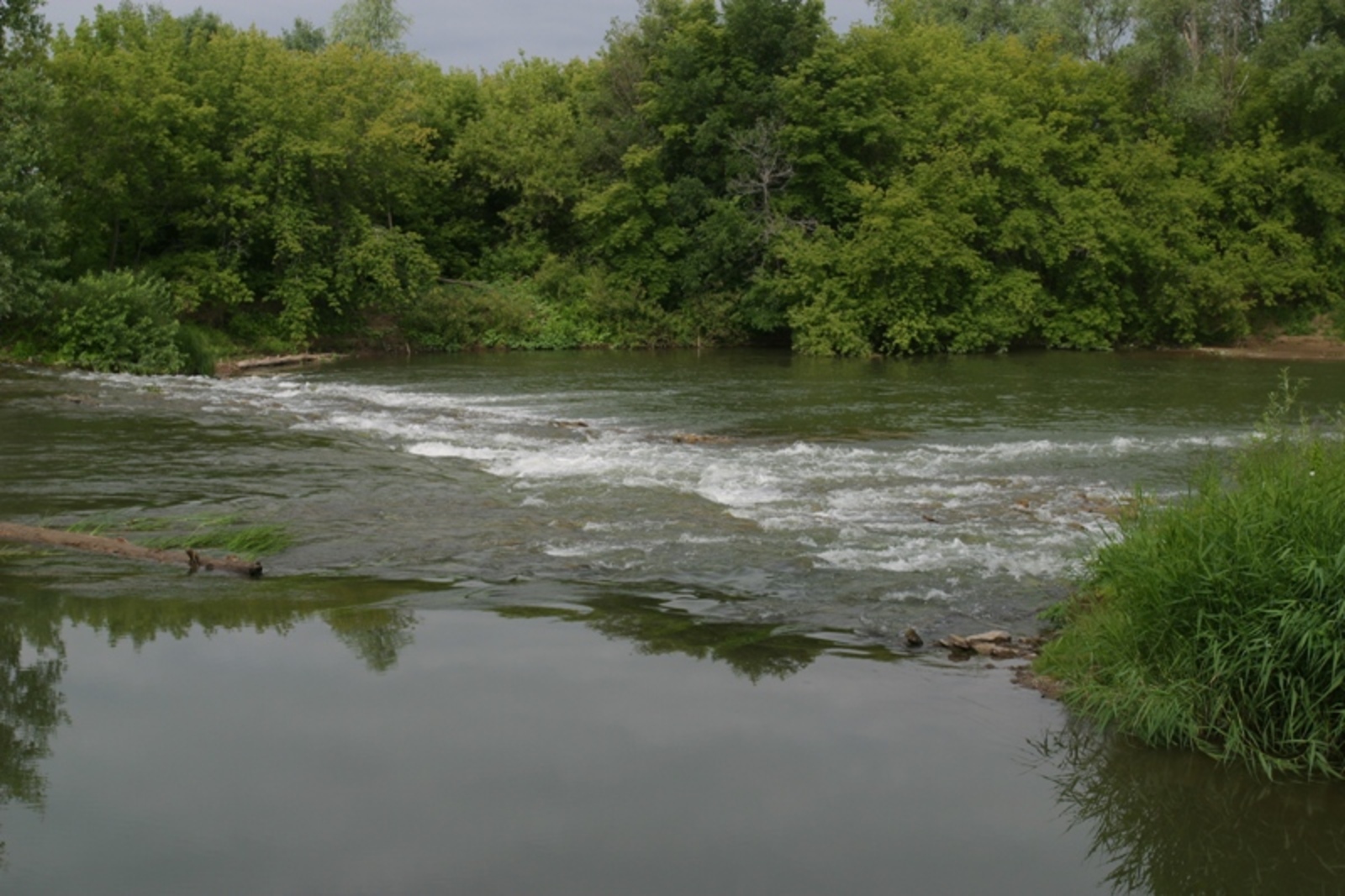 Фото Андрея Старостина.
