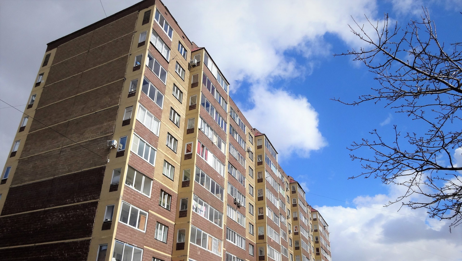 Елены Колоколовой.