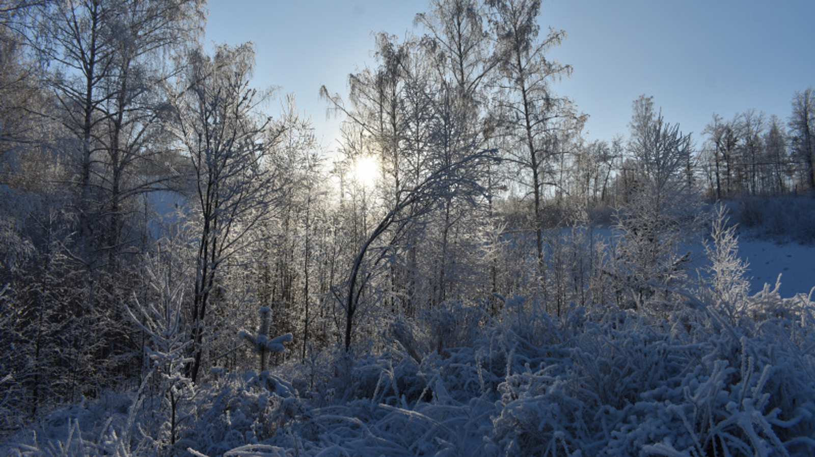Фото автора.