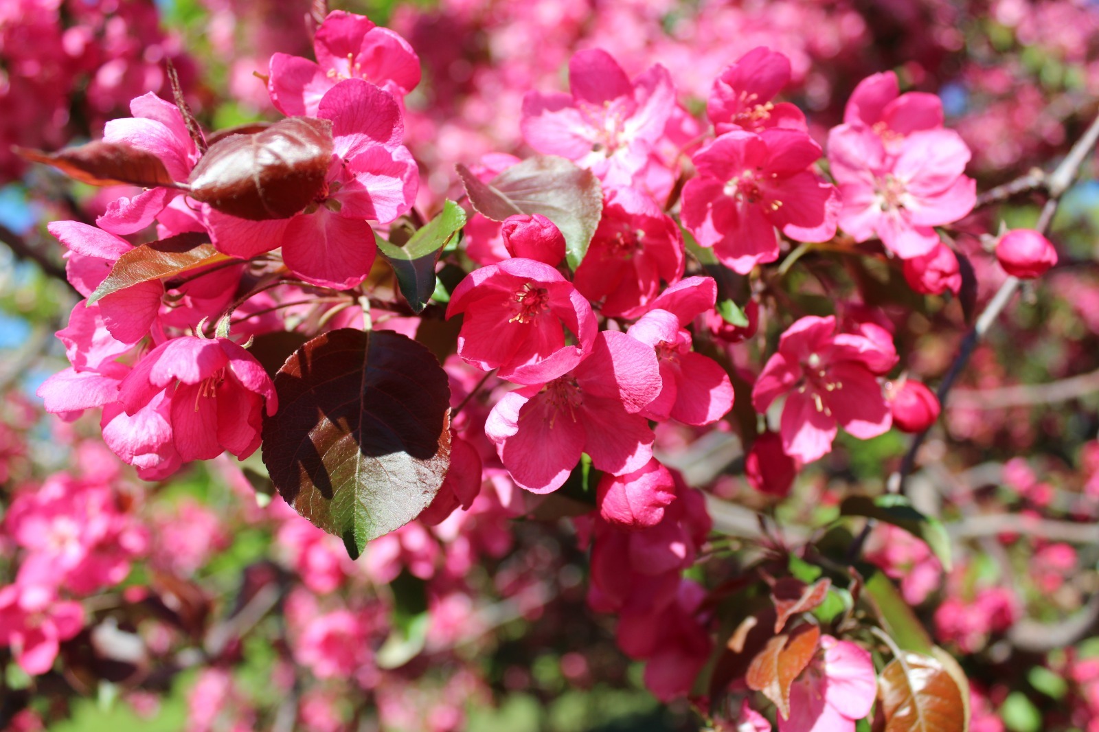 Дарьи Святохиной.