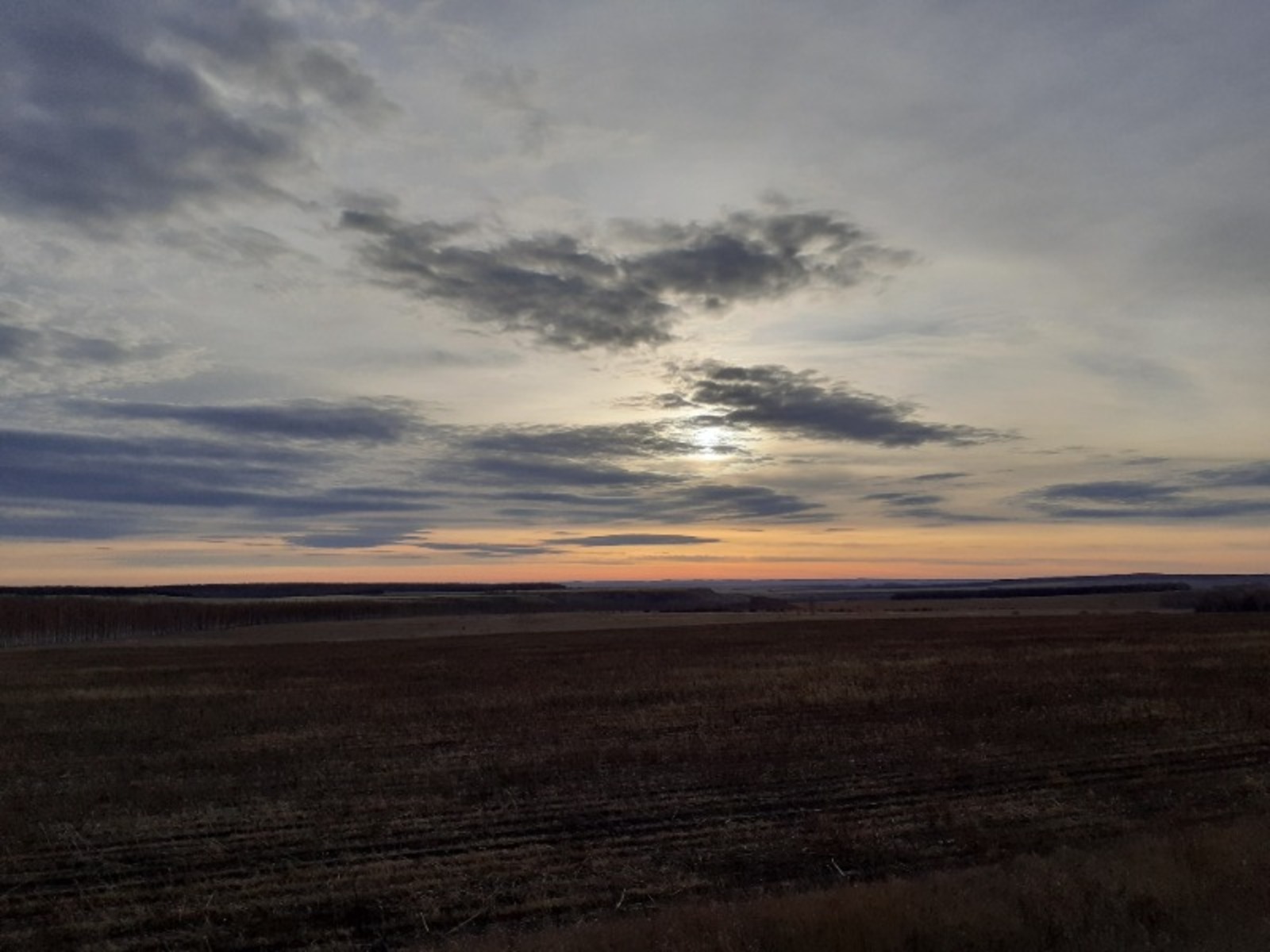 Владимира Шакиева.