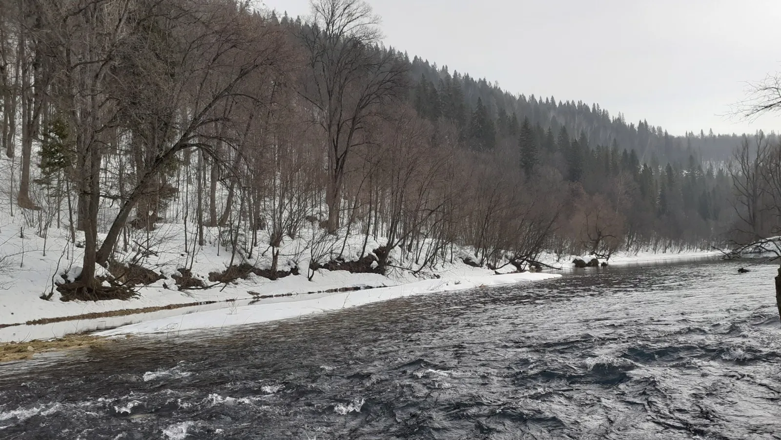 Владимира Шакиева. «Общественная электронная газета».