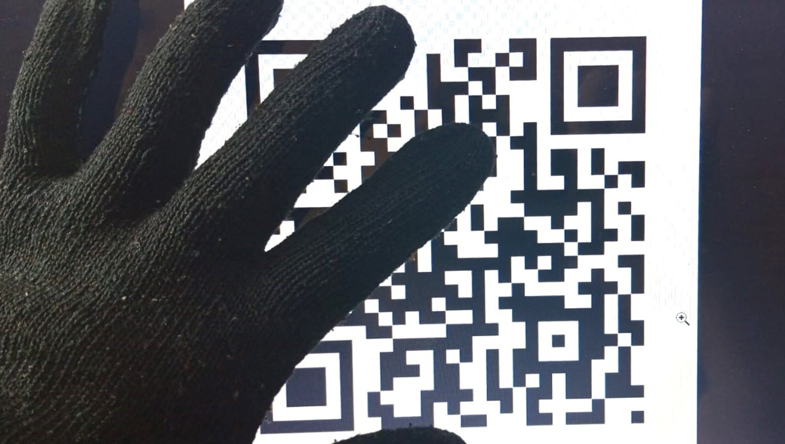 Евгении Сюткиной.