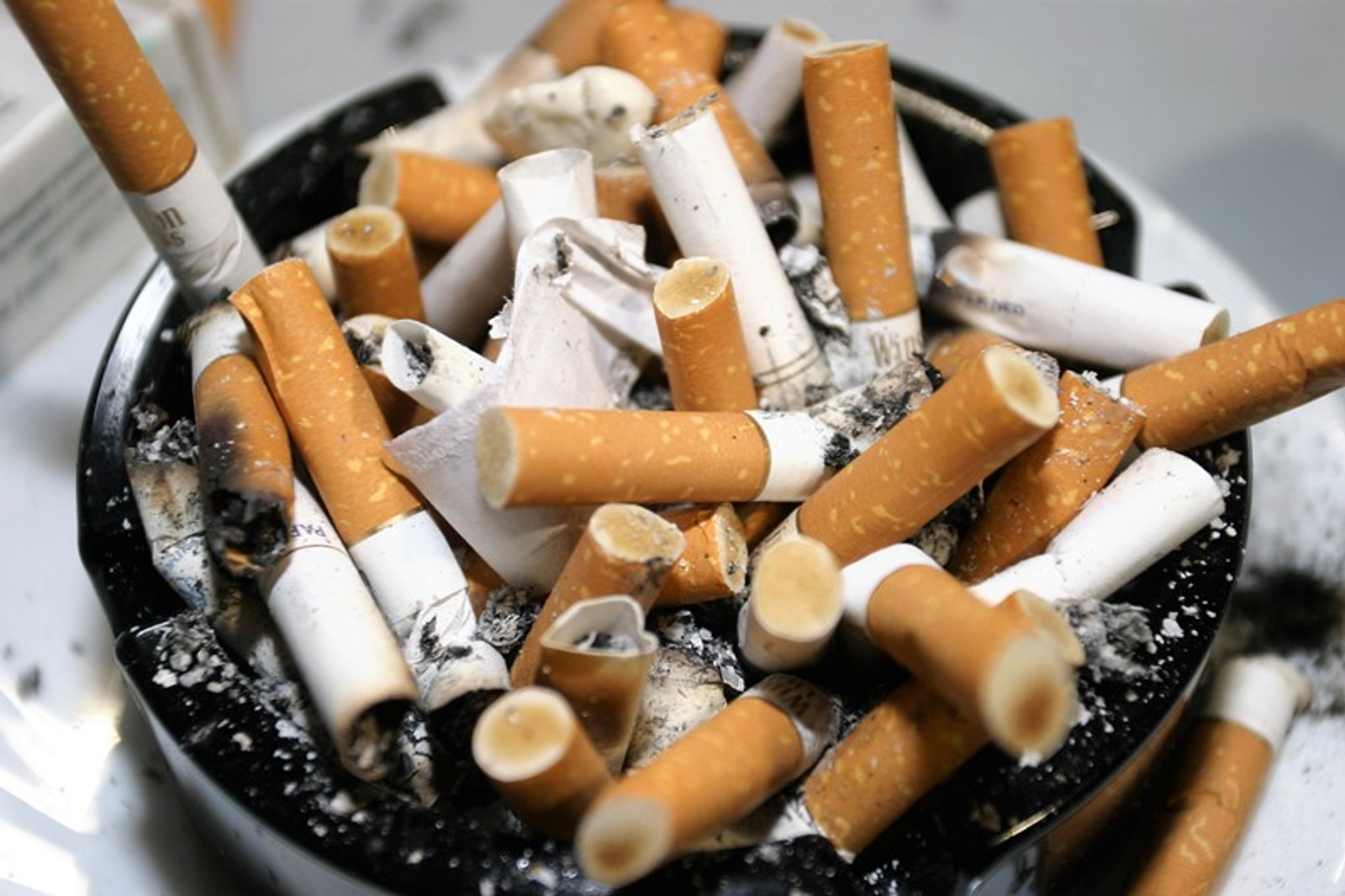 Фото Андрея Старостина.