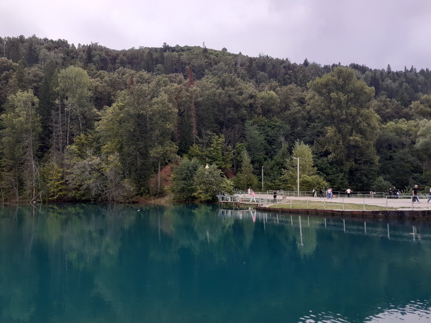 Владимира Шакиева.