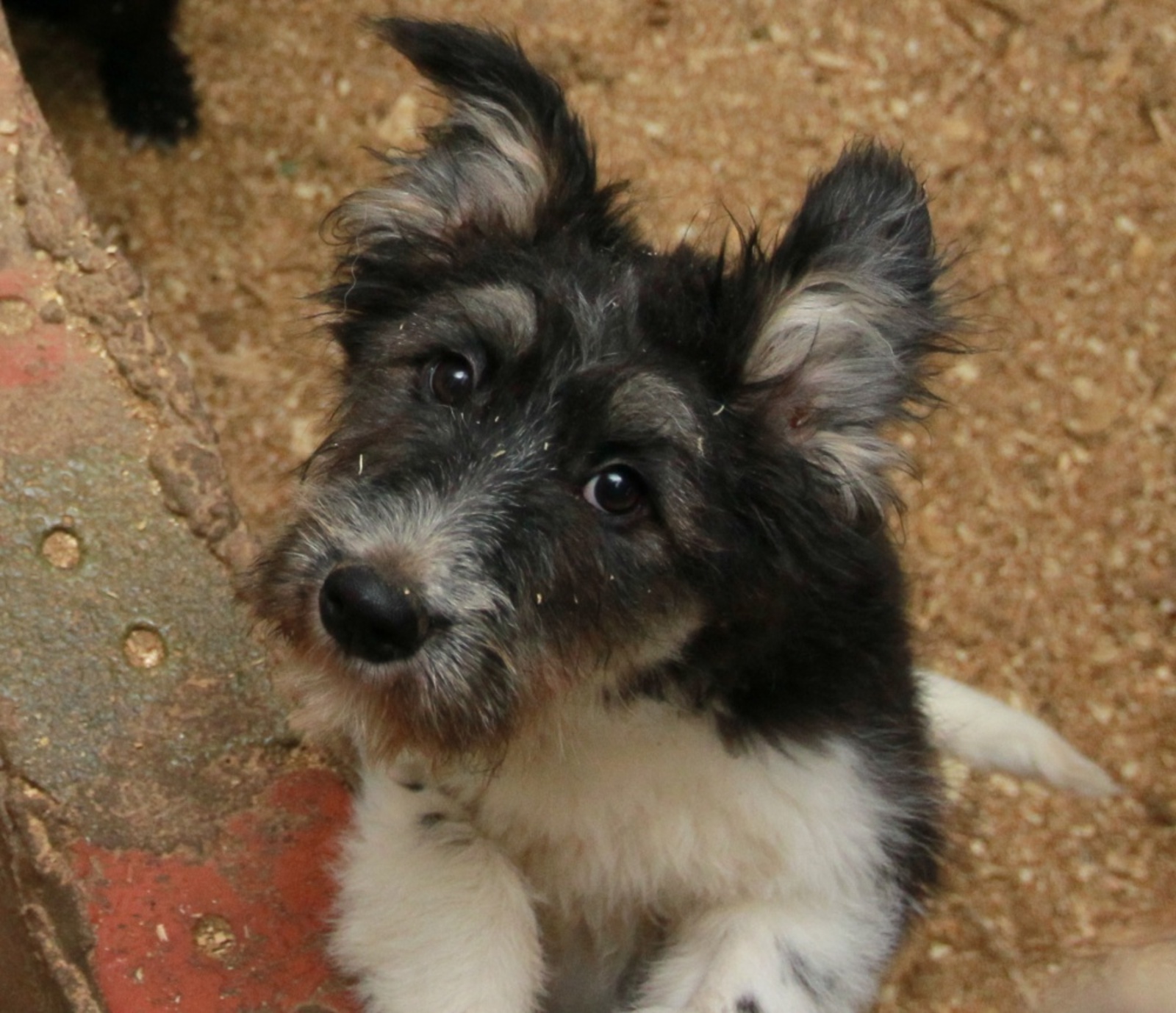 Фото Олега Яровикова.