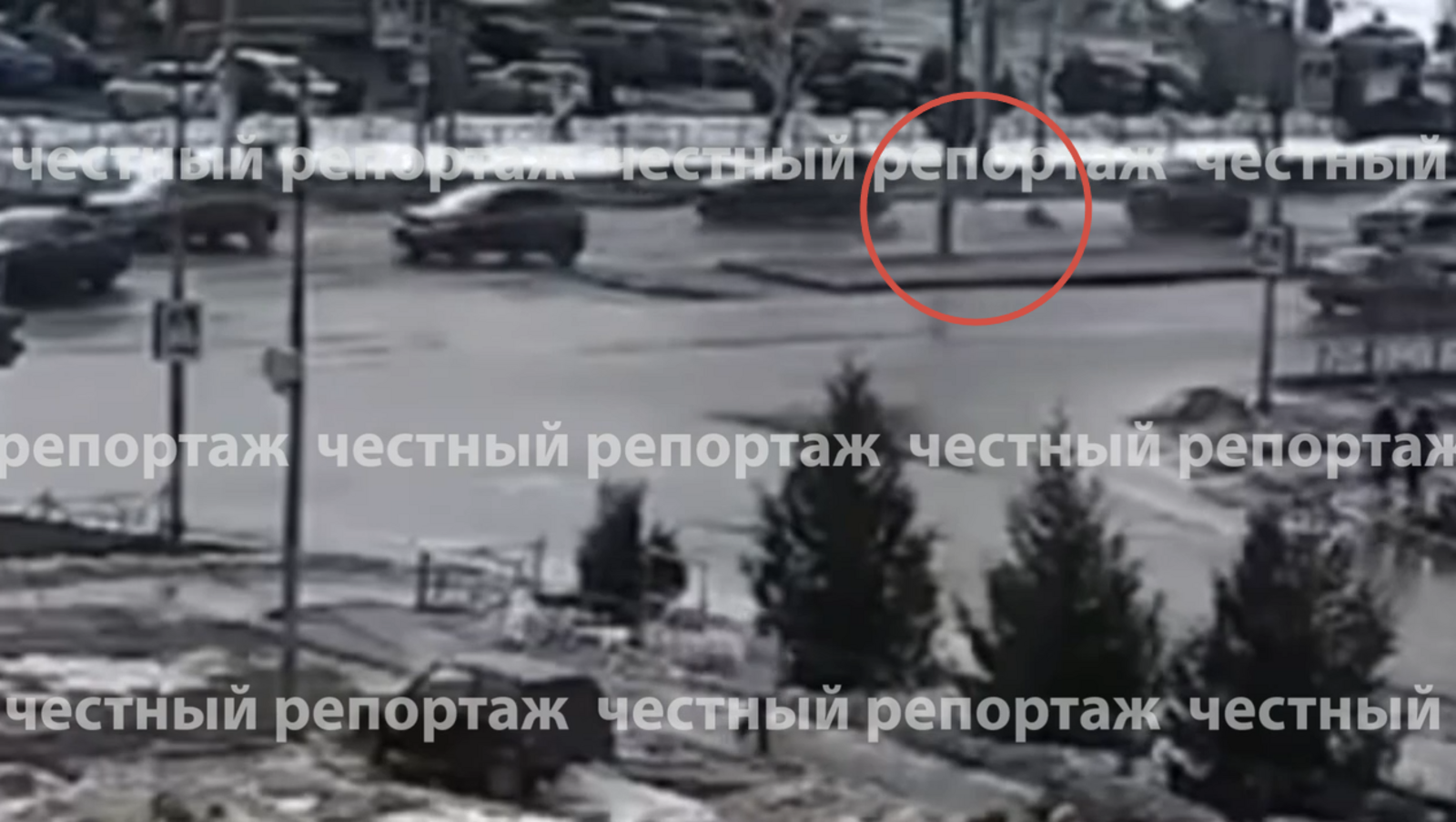 скриншот видео. телеграм-канал «Честно говоря».