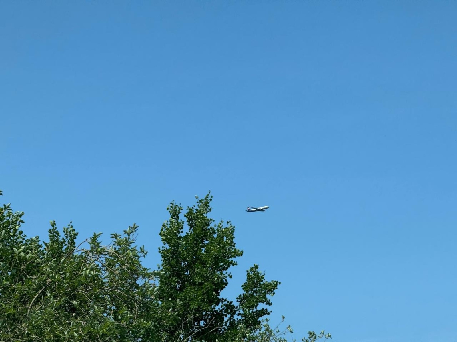 Елены Колоколовой.