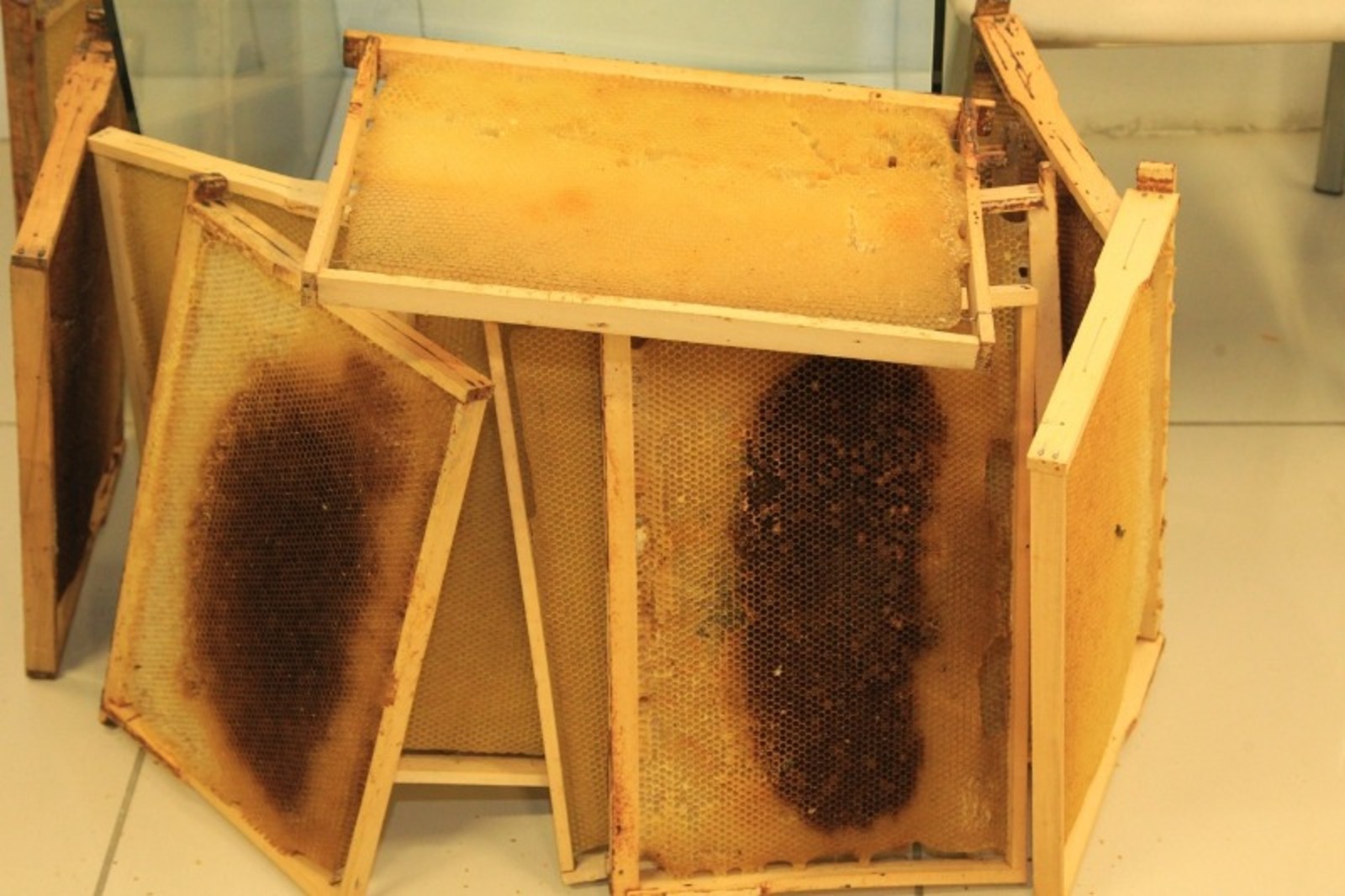 Дарьи Святохиной.