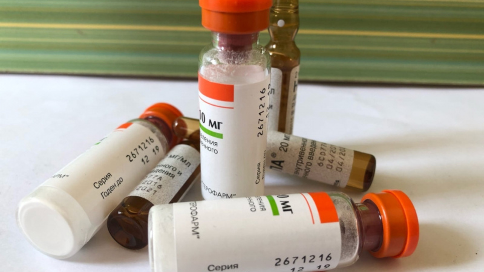 Фото Елены Колоколовой.