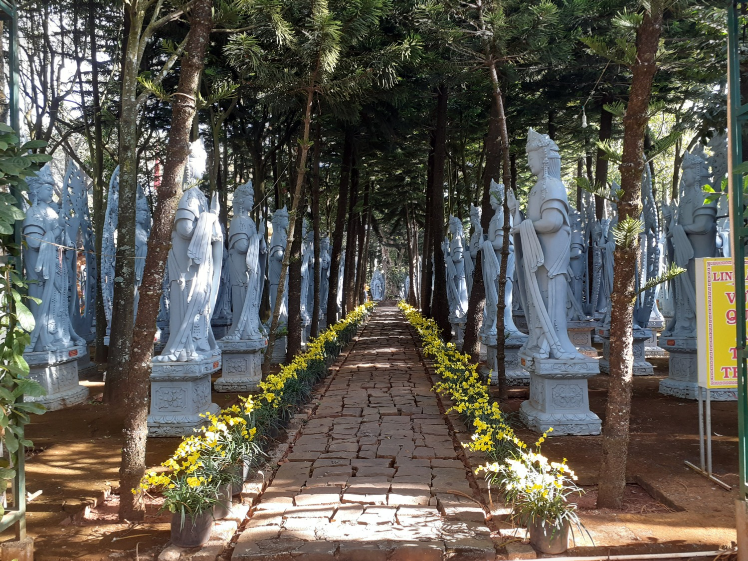 Владимира Шакиева. «Общественная электронная газета».