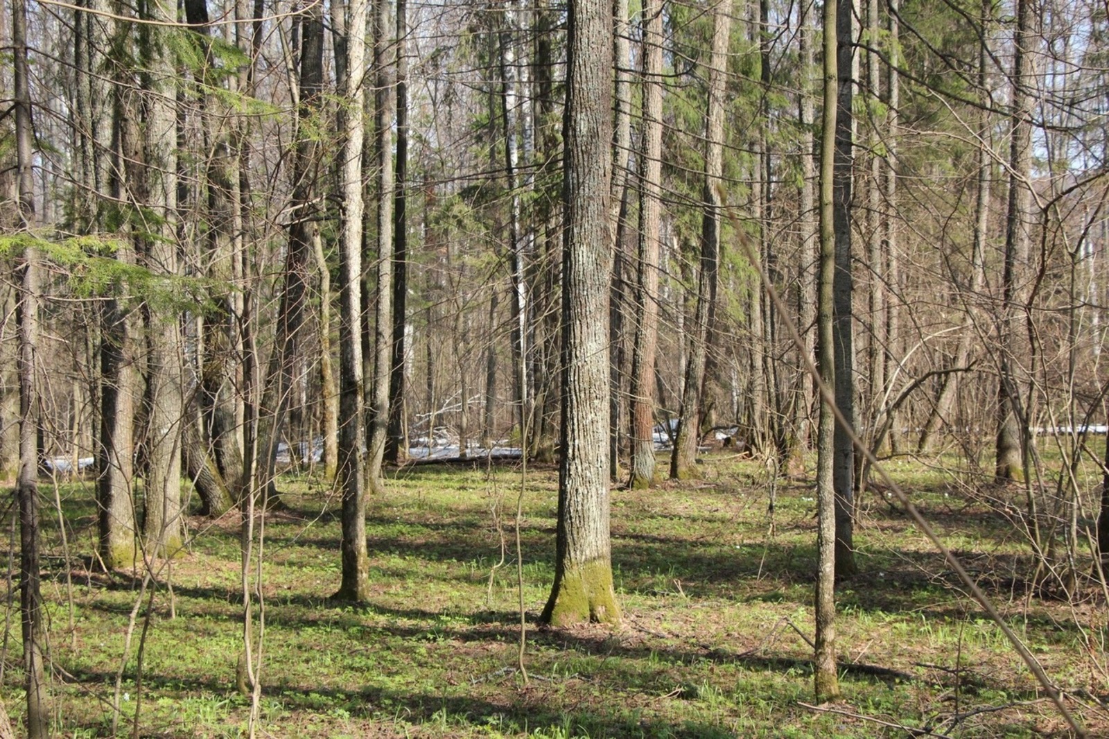 Евгении Сюткиной.