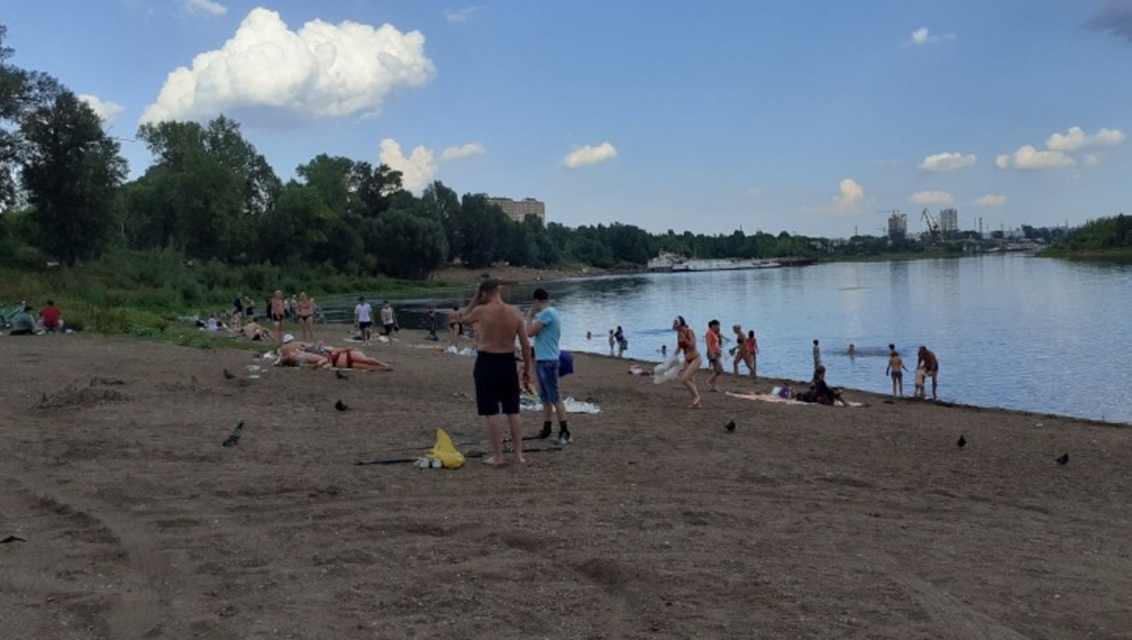 Владимира Шакиева.