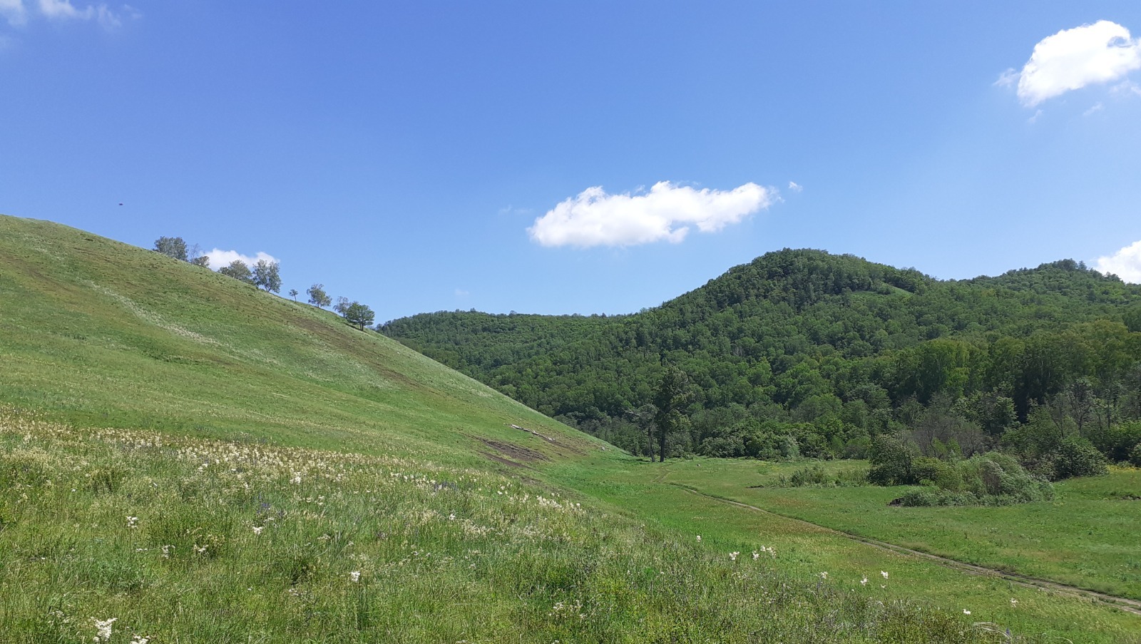 Владимира Шакиева.