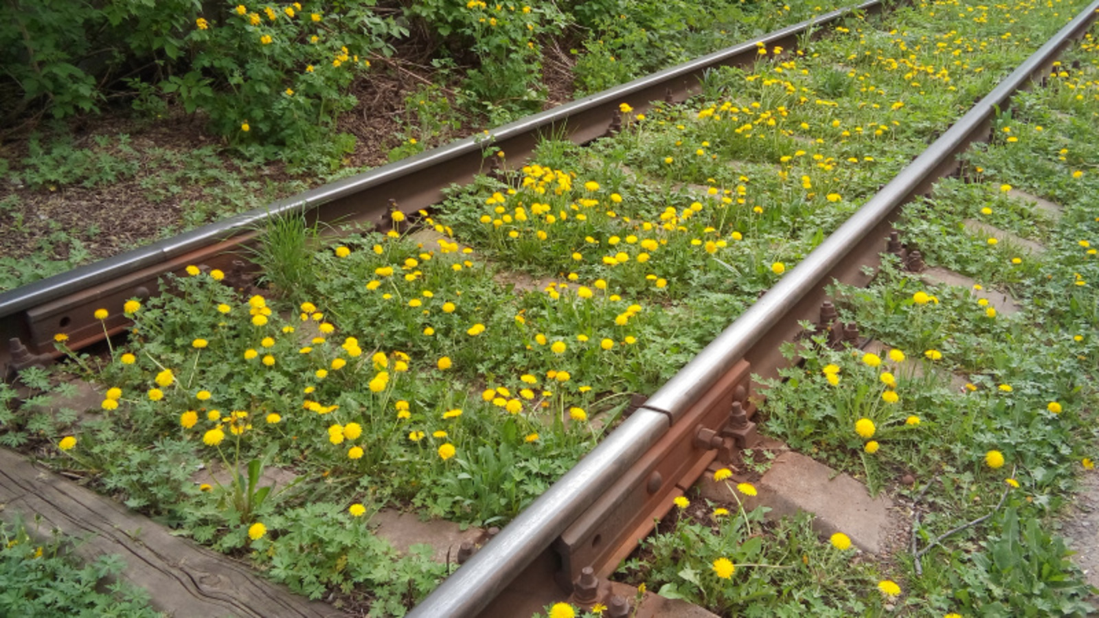 Фото Евгении Сюткиной.