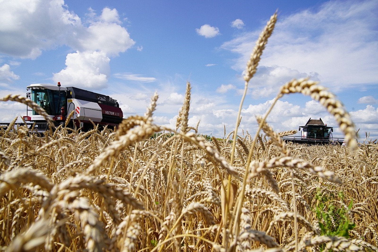 сайт Главы РБ.