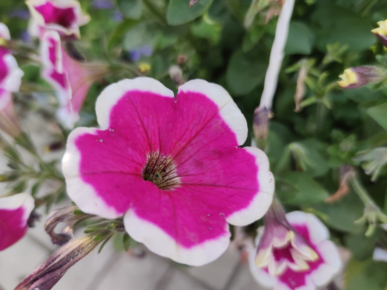 Дарьи Святохиной.