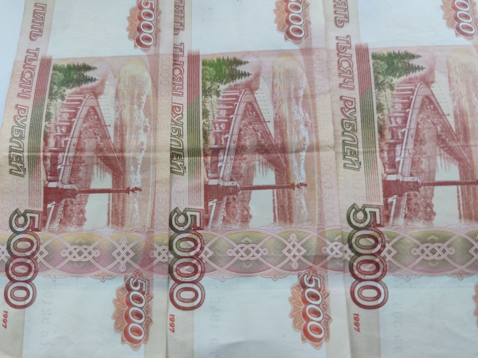 Дарьи Святохиной.