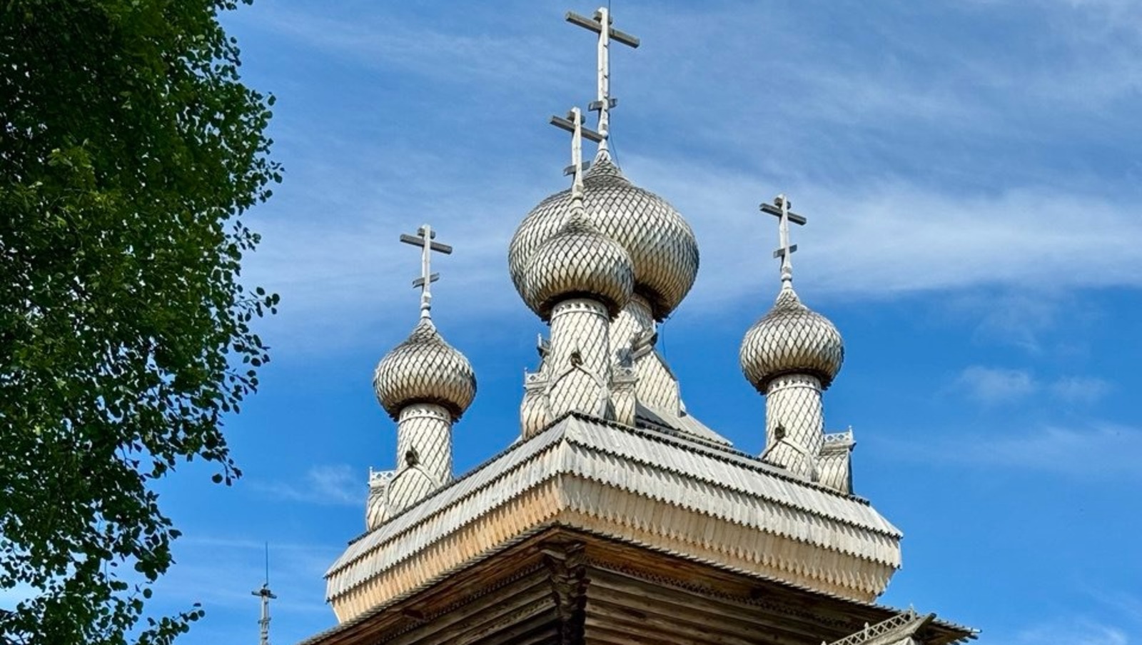 Елены Колоколовой.