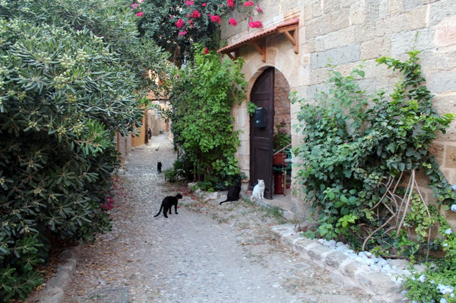 Фото автора.