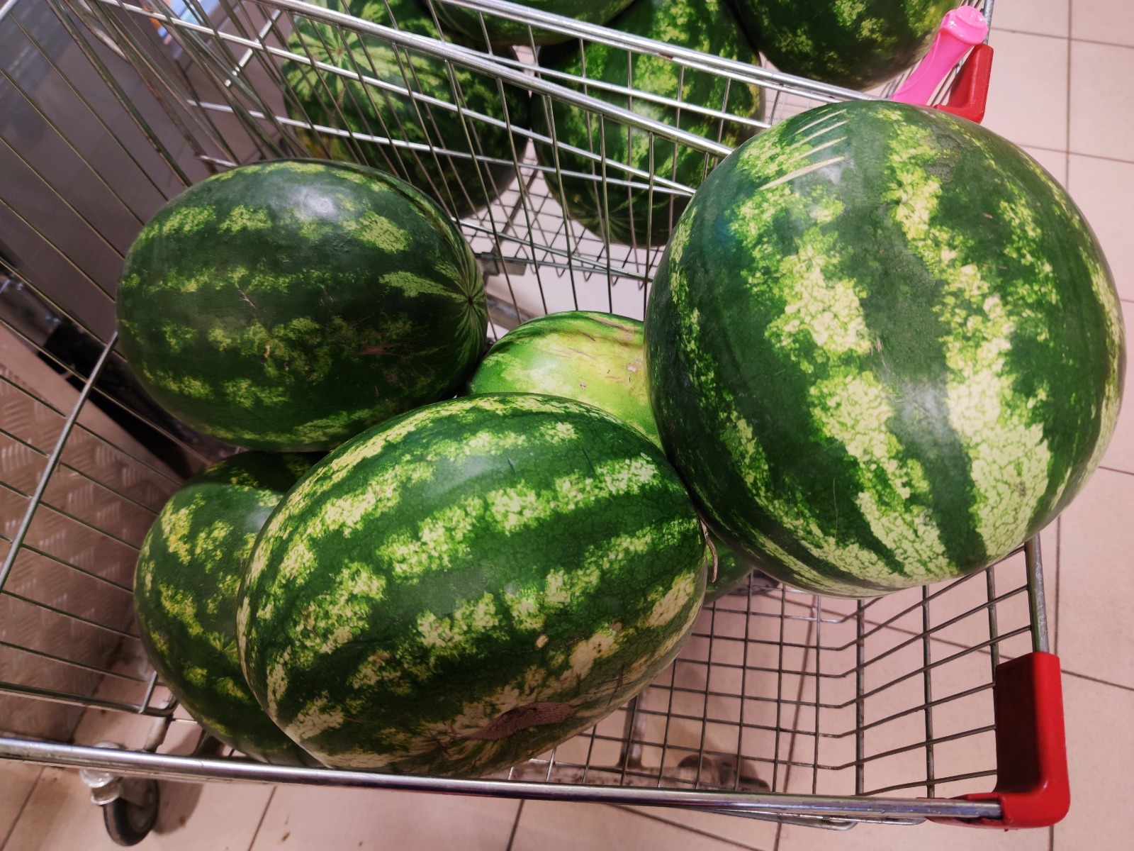 Дарьи Святохиной.