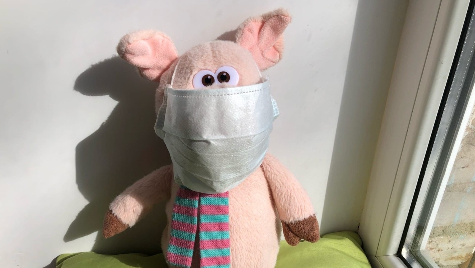 Елены Колоколовой.