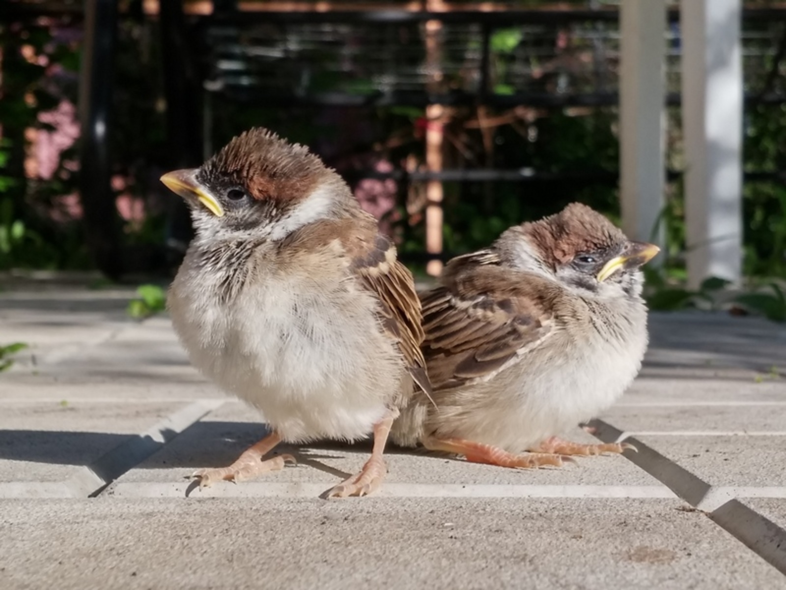 Фото Андрея Старостина.