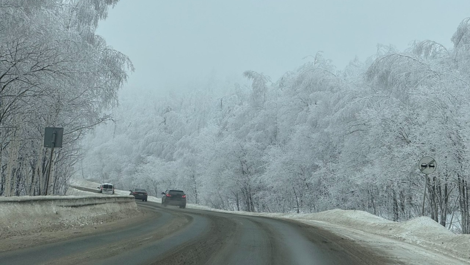 Елены Колоколовой.