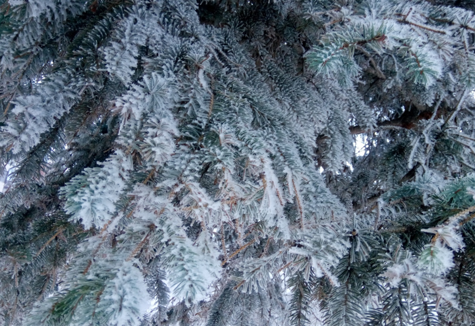 Фото Васили Саитовой.