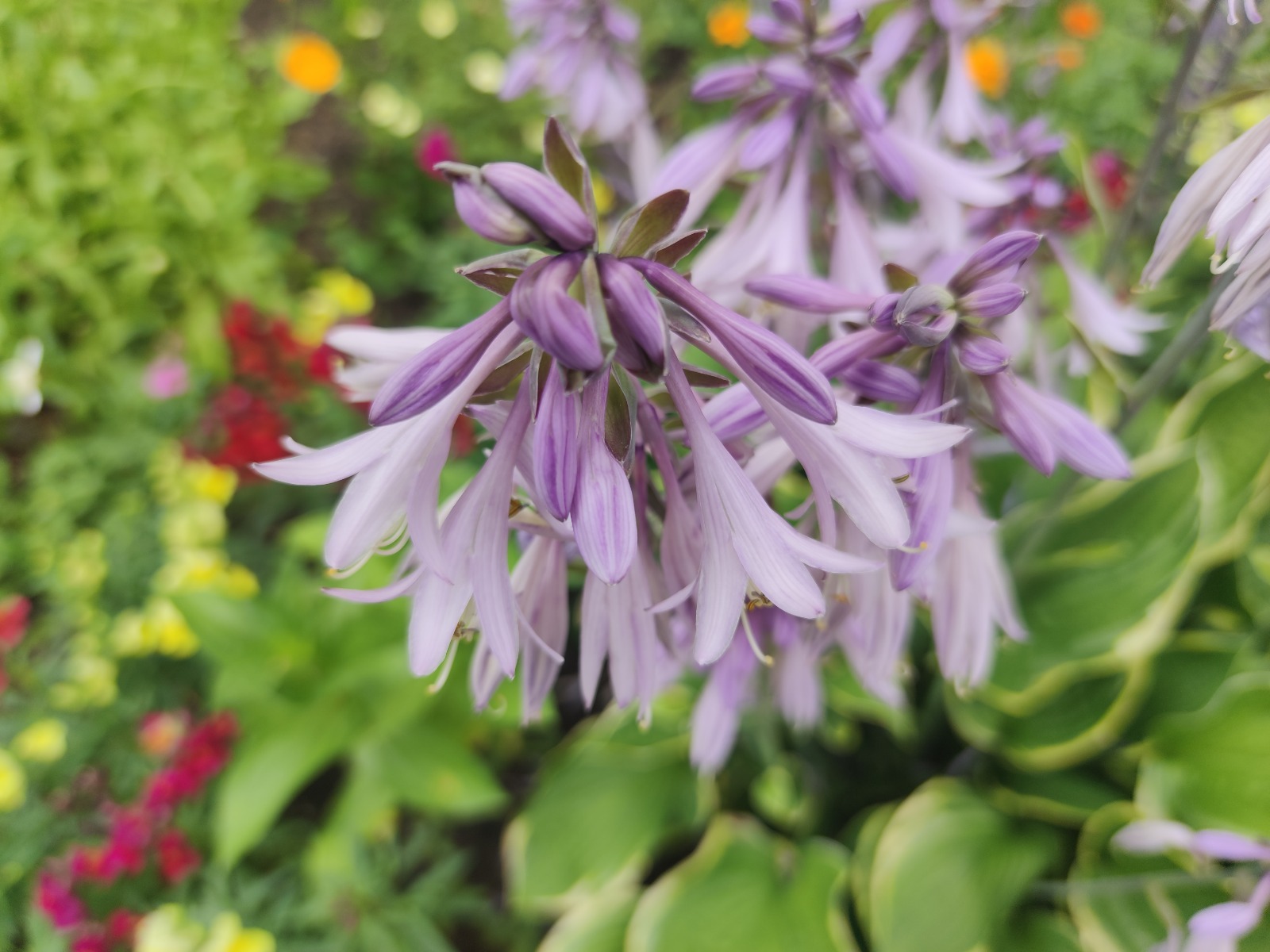 Дарьи Святохиной.