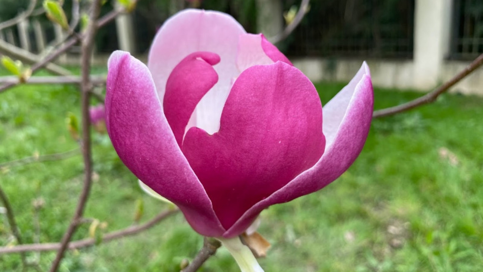 Елены Колоколовой.