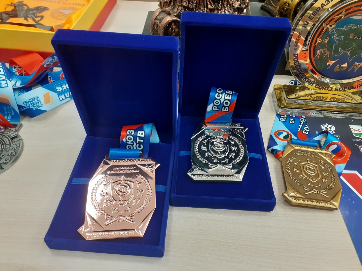 Владимира Шакиева.