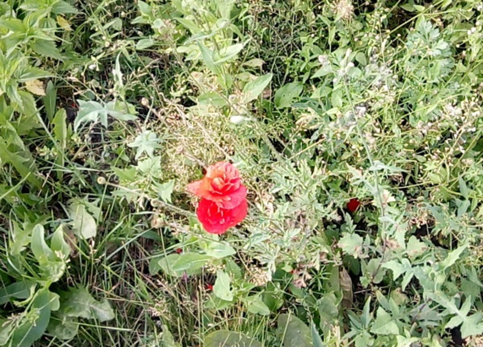 Фото Васили Саитовой.