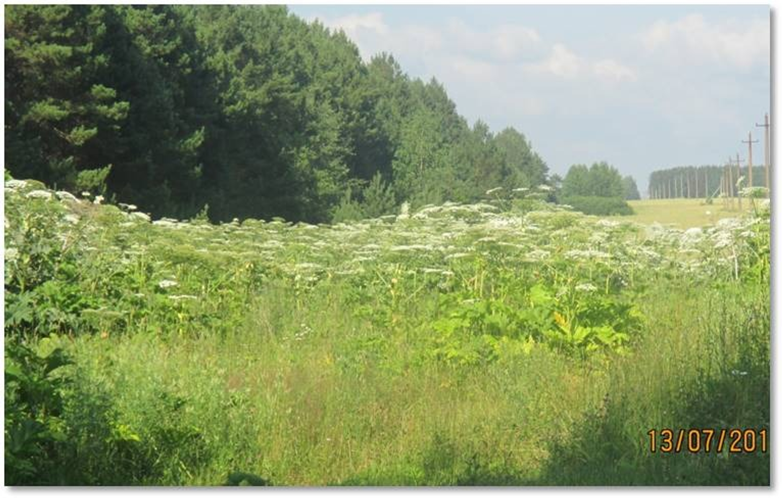 предоставлено Ларисой Абрамовой.