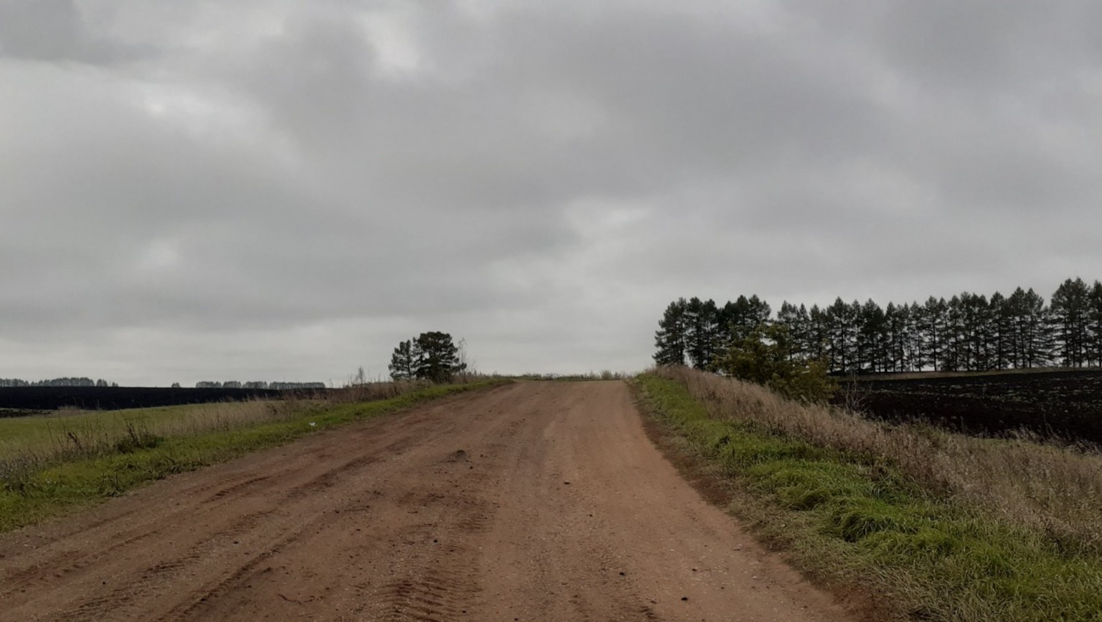 Владимира Шакиева. "Общественная электронная газета".