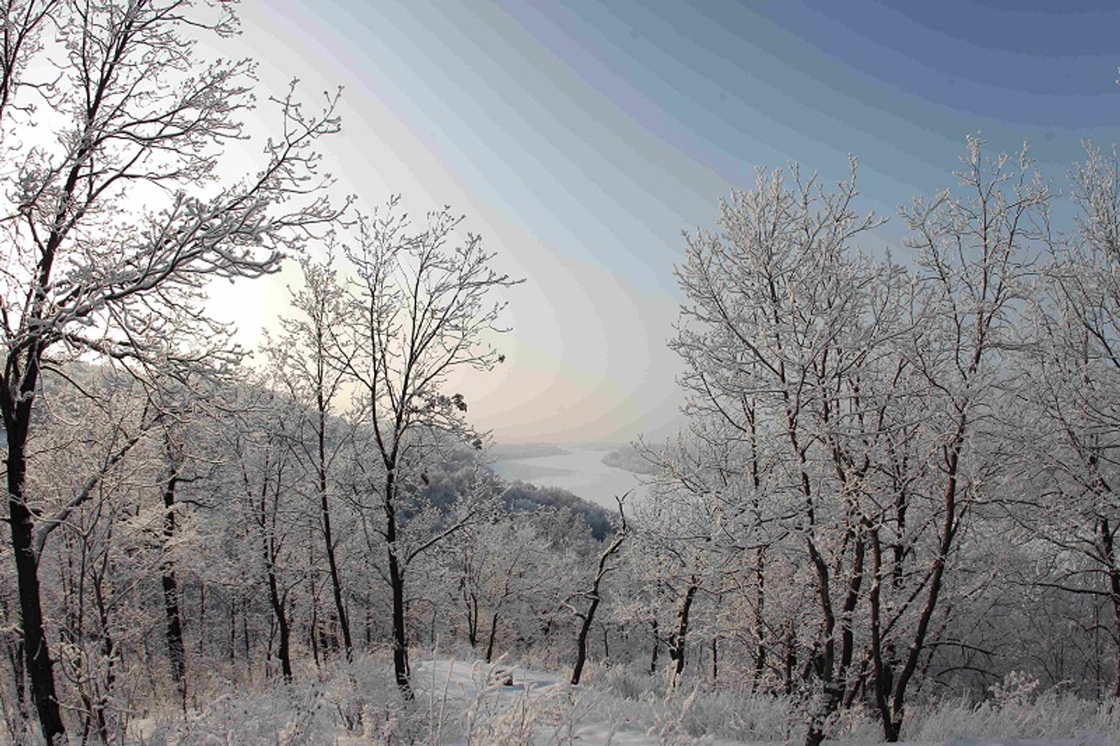 Фото Олега Яровикова.