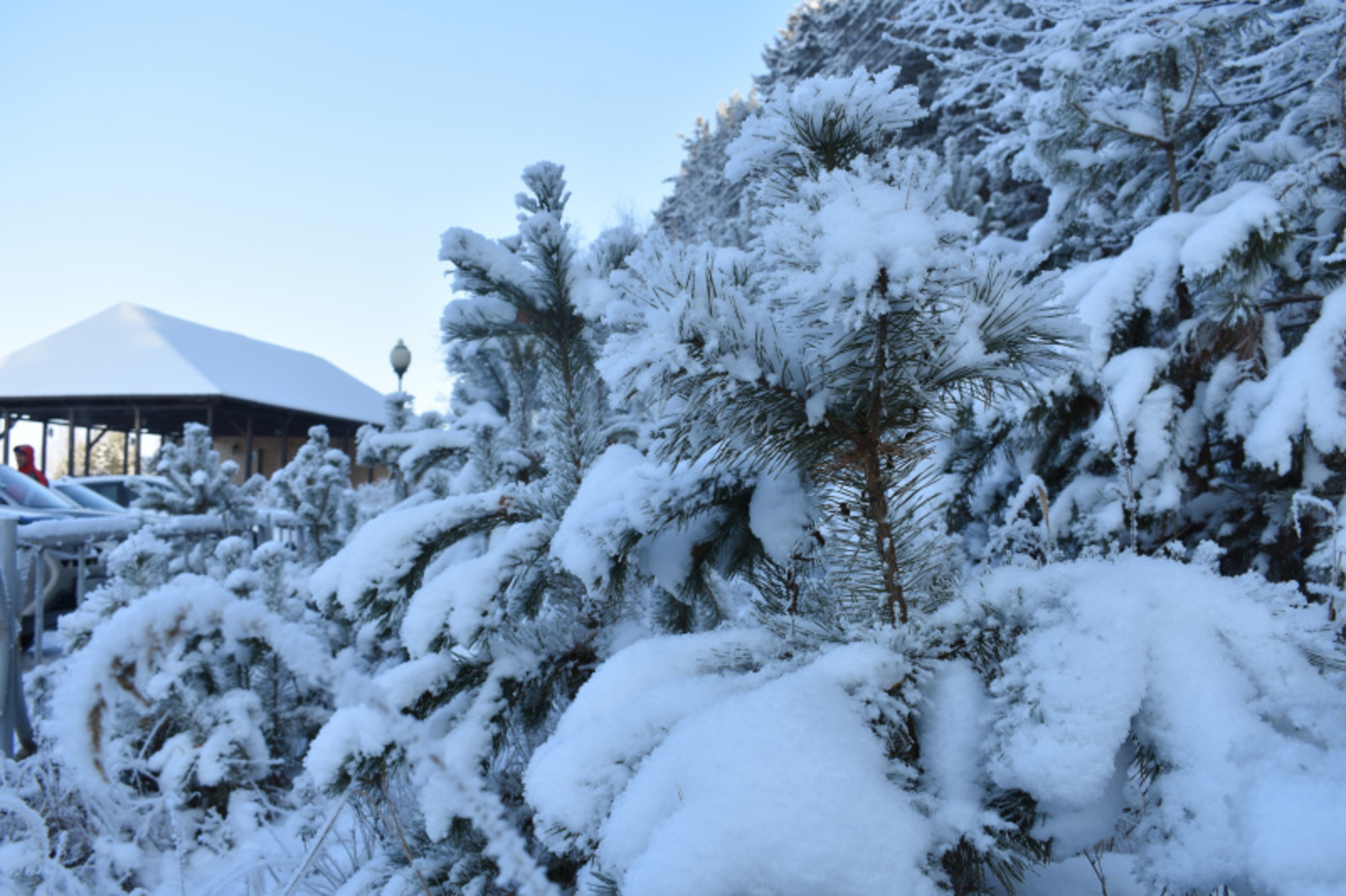 Фото автора.