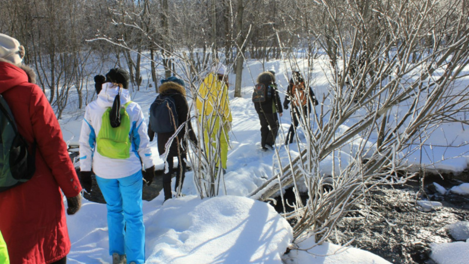 Фото автора.