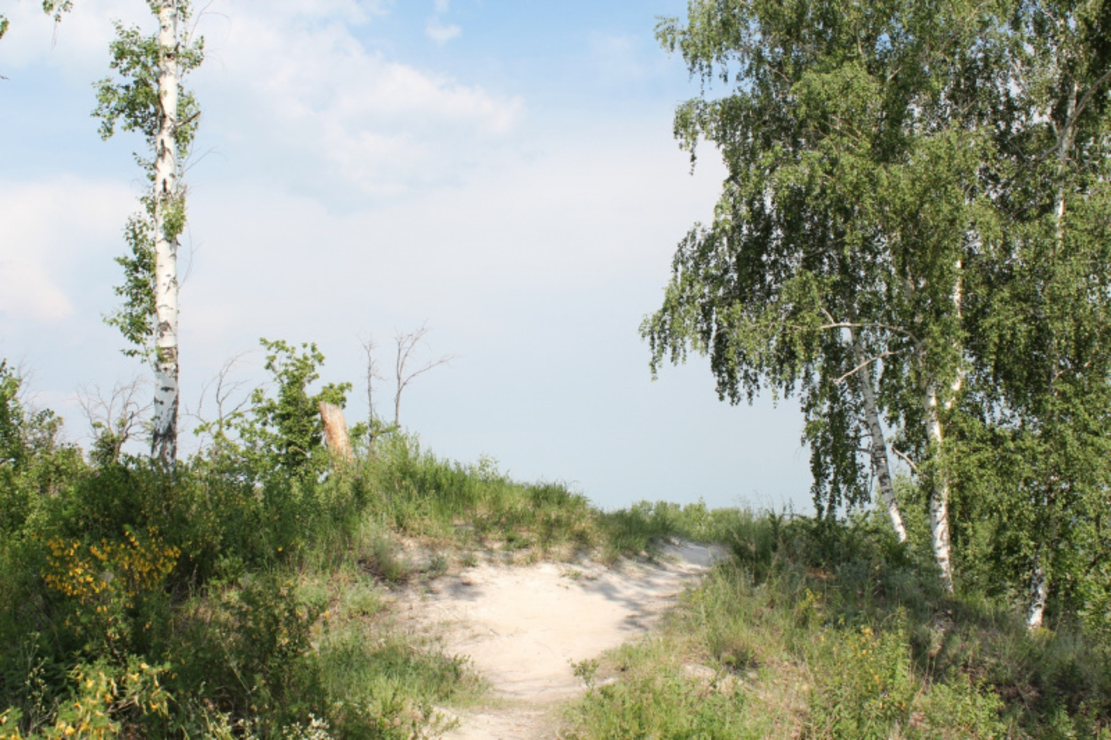 Фото автора.