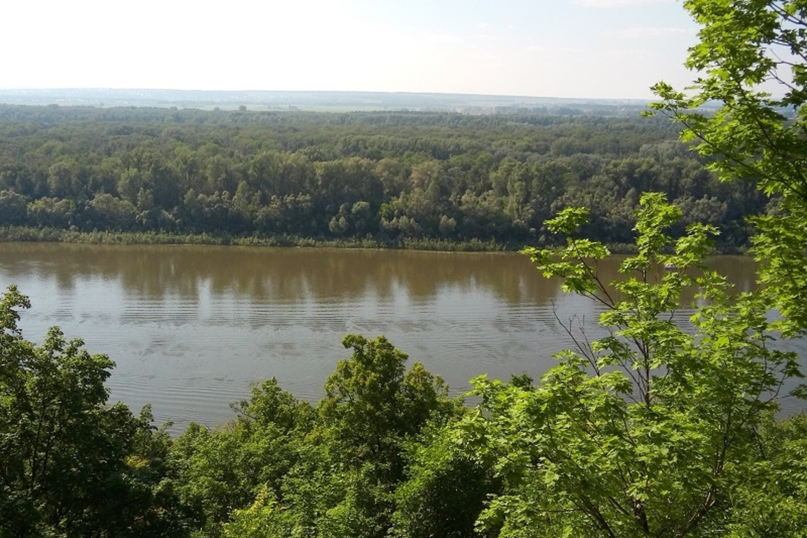 Фото автора.