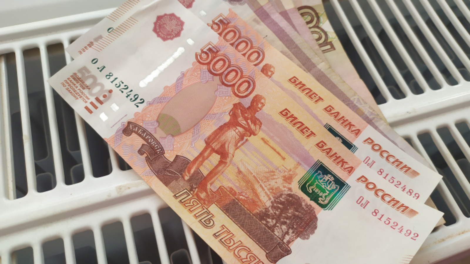 Фото Васили Саитовой.