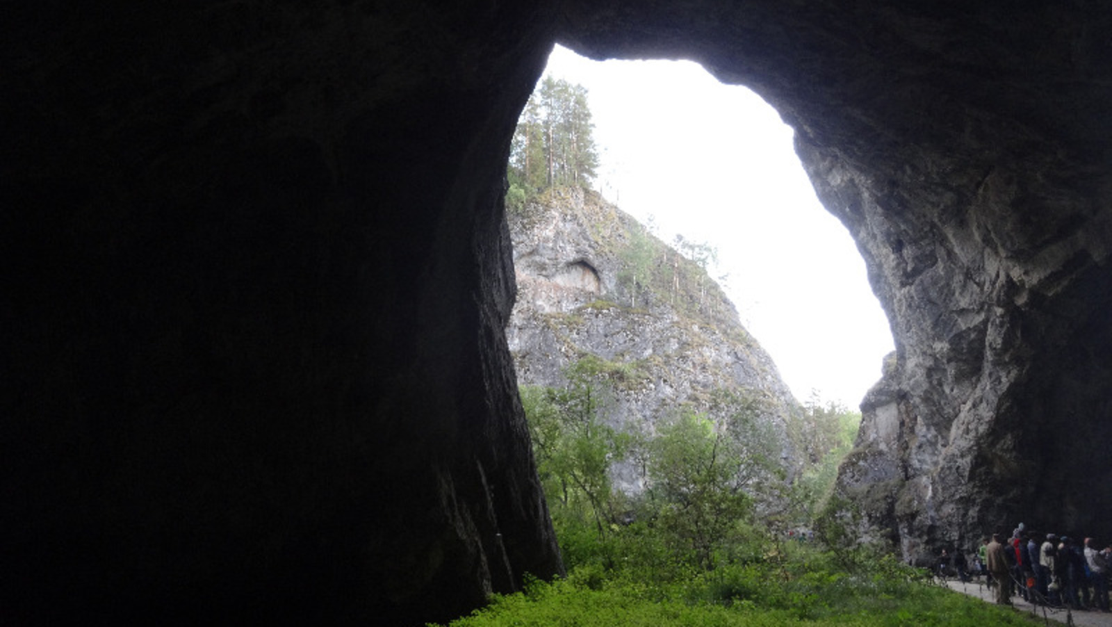 Елены Колоколовой.